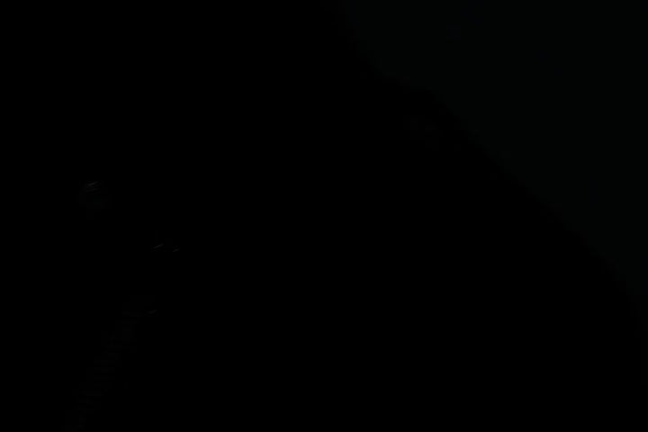 Vegan Leather Biker Jacket