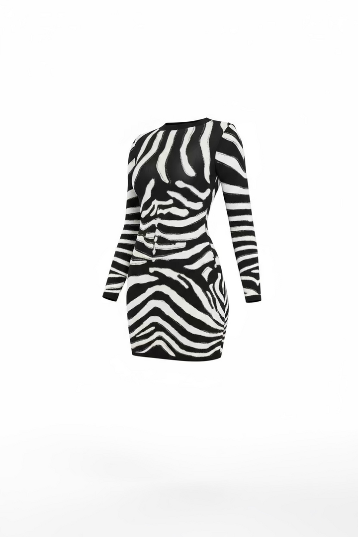 Round Neck Rhinestone Zebra Dress