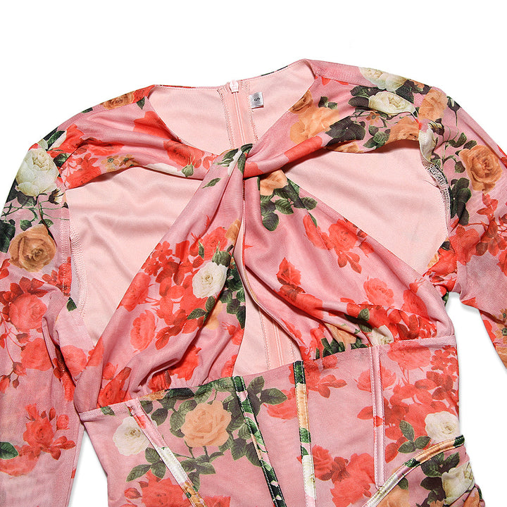 Mesh Printed Boning Long Sleeve Dress