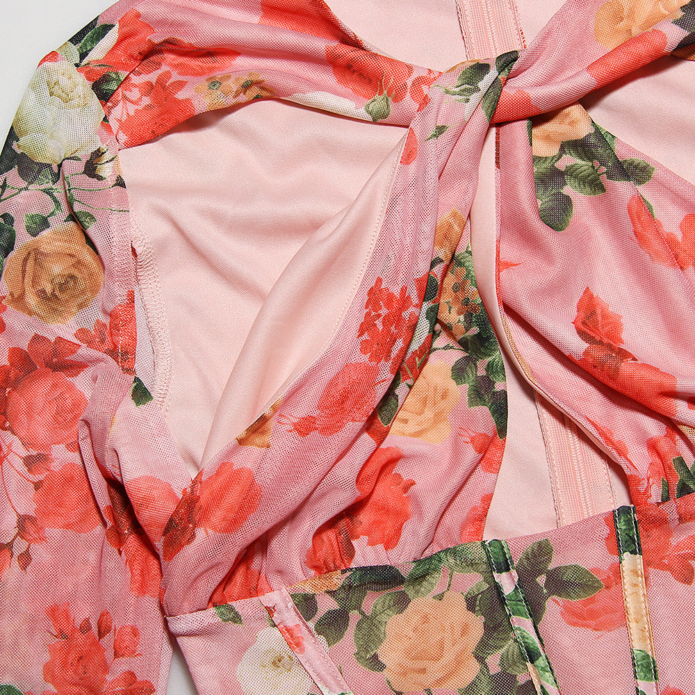 Mesh Printed Boning Long Sleeve Dress