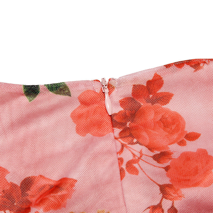 Mesh Printed Boning Long Sleeve Dress