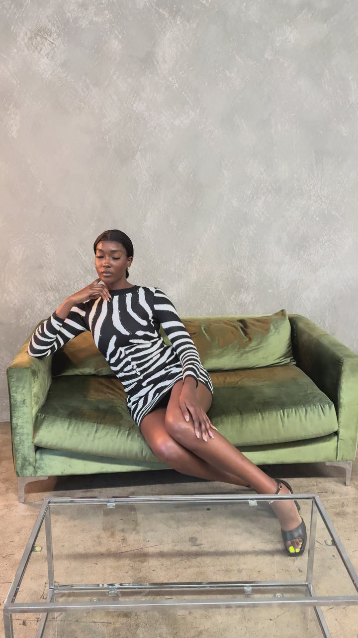 Round Neck Rhinestone Zebra Dress